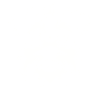 Schnauzer