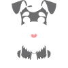 Schnauzer