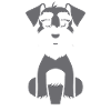 Schnauzer