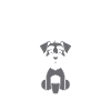 Schnauzer