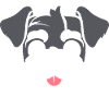 Schnauzer