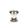 Schnauzer