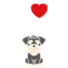 Schnauzer