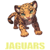 Jaguars Jaguar