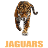 Jaguars Jaguar