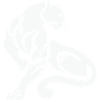 Panther Leopard
