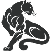 Panther Leopard