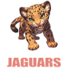 Jaguars Jaguar