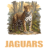 Jaguars Jaguar
