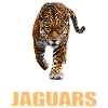 Jaguars Jaguar