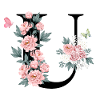 Letter u pink flowers