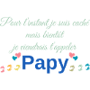Futur Papy. Fête grand-père. Annonce grossesse
