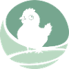Chicken coop egg poultry