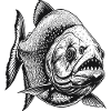 Piranhas