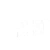 Ski Ski Holiday