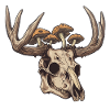 Skull Mushrooms Nature Motif