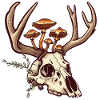 Skull Mushrooms Nature Motif