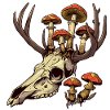 Skull Mushrooms Nature Motif