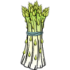 Asperge