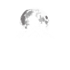 Master Roofer Roofer