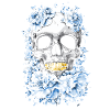 Skull gold
