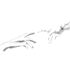 Fractal Hands Reach