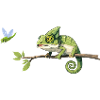 Caméléon