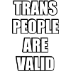 Trans People Are Valid