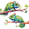 Chameleon 2