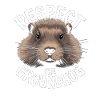 Respect The Groundhog