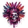 Indian Skull Chief
