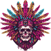 Indian Skeleton
