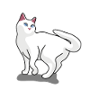 Katze Moon #001
