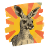 Kangourou