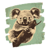 Koala Bear
