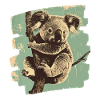 Koala