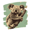 Koala Bear