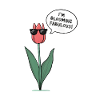Floraison fabuleuse