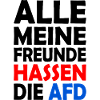 Tous mes amis détestent l’AfD