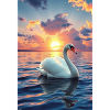 Elegance of the Swan