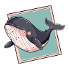Marine Life Whales Marine Animals