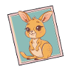Kangaroo Marsupial Melbourne