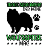 Wolfspitz don't trust Keeshond