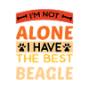 Best Beagle