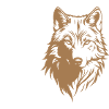 Cool Wolf