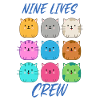 Nine lives crew cat