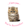 You're Purrrfect