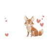 Coyote Animal Funny