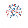 Pyrotechnics Fireworks Pyrotechnics
