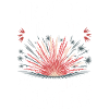Pyrotechnics Fireworks Pyrotechnics